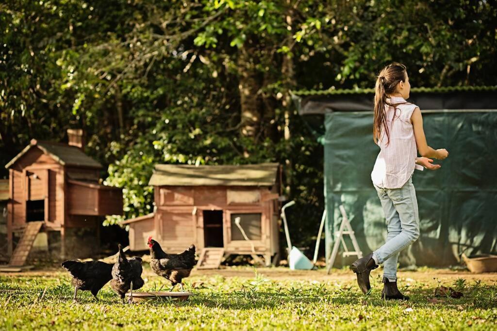 Pinbarren Green Lodges Noosa Экстерьер фото