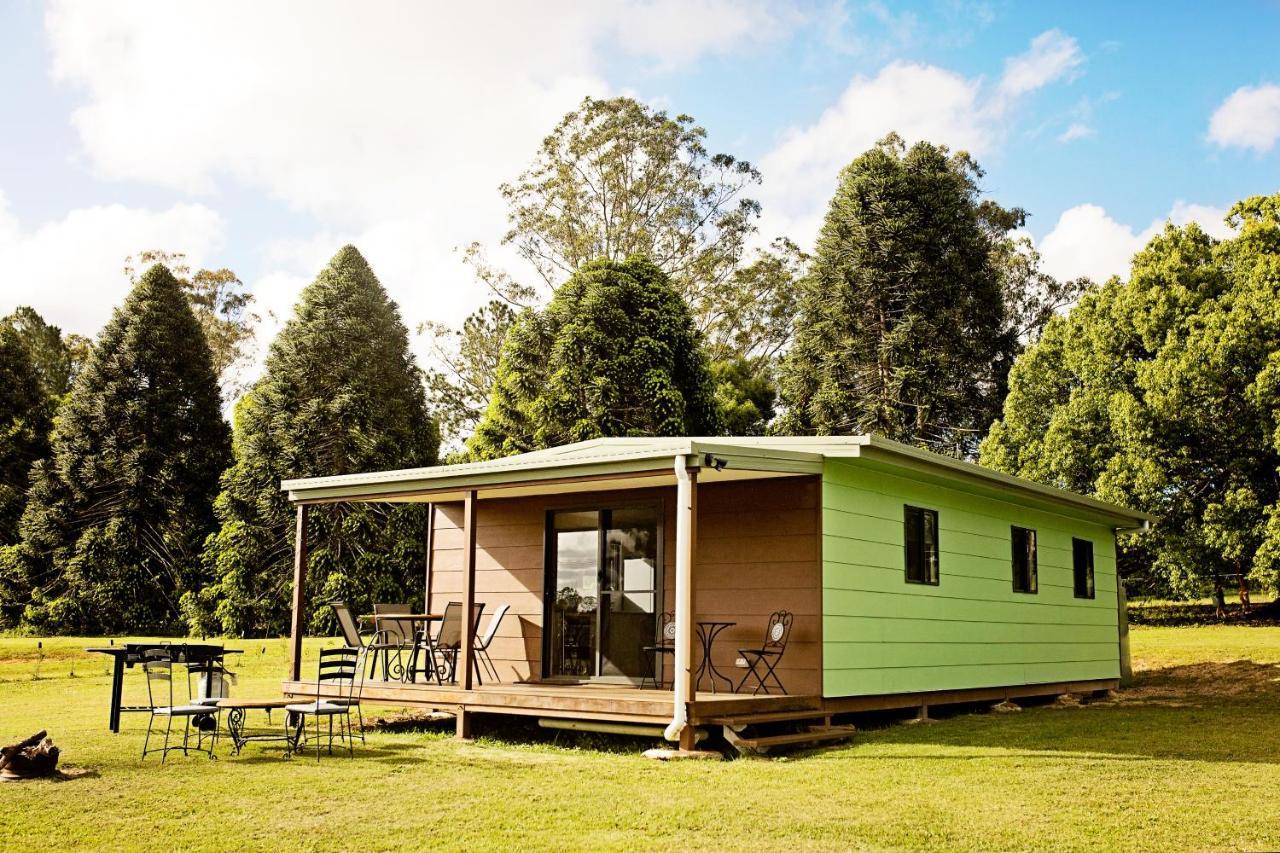 Pinbarren Green Lodges Noosa Экстерьер фото