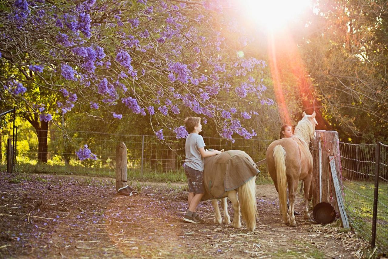 Pinbarren Green Lodges Noosa Экстерьер фото
